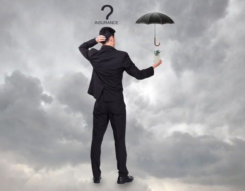 2013年產(chǎn)玉米種子出苗不佳的法律應(yīng)對(duì)措施