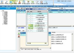 高品智財(cái)務(wù)公司代理代辦項(xiàng)目管理系統(tǒng)v3.326（網(wǎng)絡(luò)多用戶版）軟件下載與信息安全開發(fā)解析